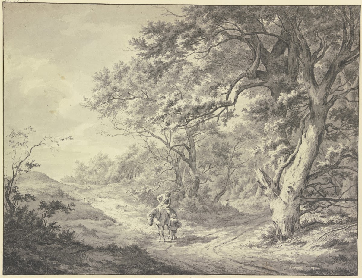 Edge of the forest near Haarlem
