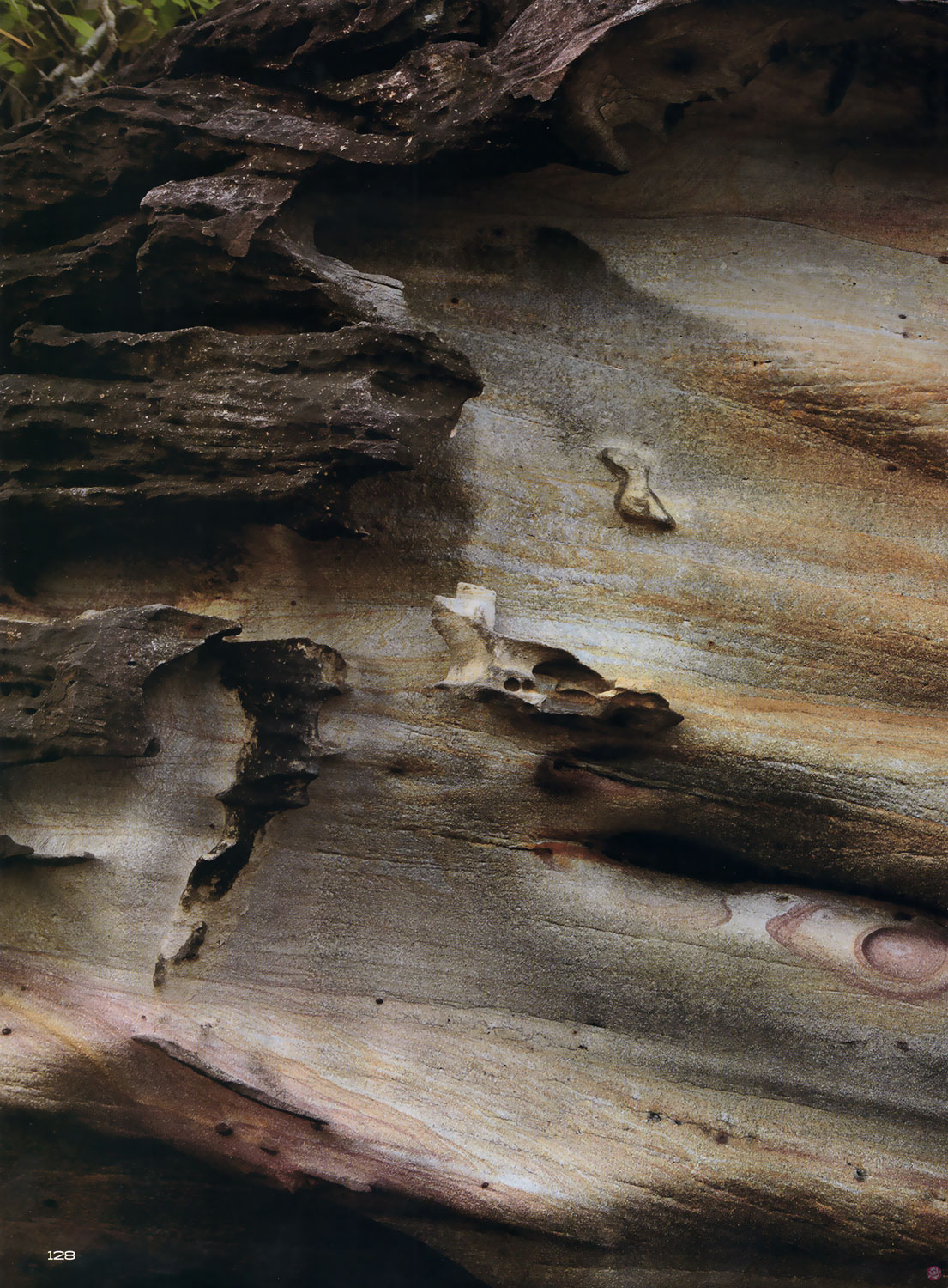  ดิฉัน 792 : สุษิรา แอนจิลีนา แน่นหนา 