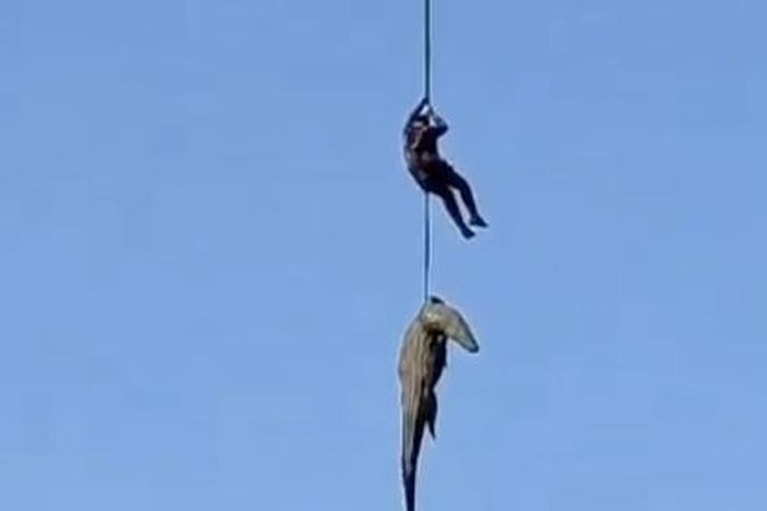 Cảnh sát treo mình trên sông đầy cá sấu để tìm thi thể doanh nhân ở Nam Phi - Báo Người Lao Động