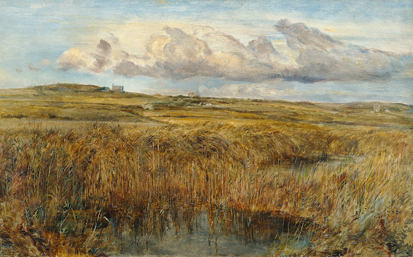 Rhoscolyn Anglesey