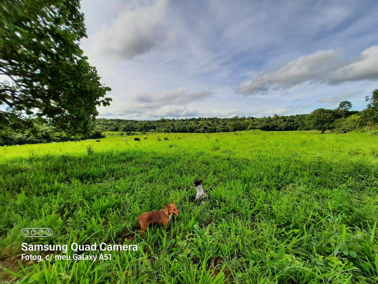 Fazenda em Formoso-GO 9