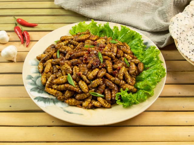 Nhộng Tằm Chiên Sốt Cay