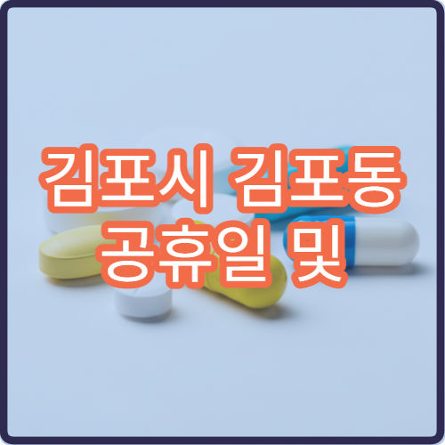 김포시 김포동 공휴일 및 대체 공휴일 문 여는 약국 운영 정보 안내
