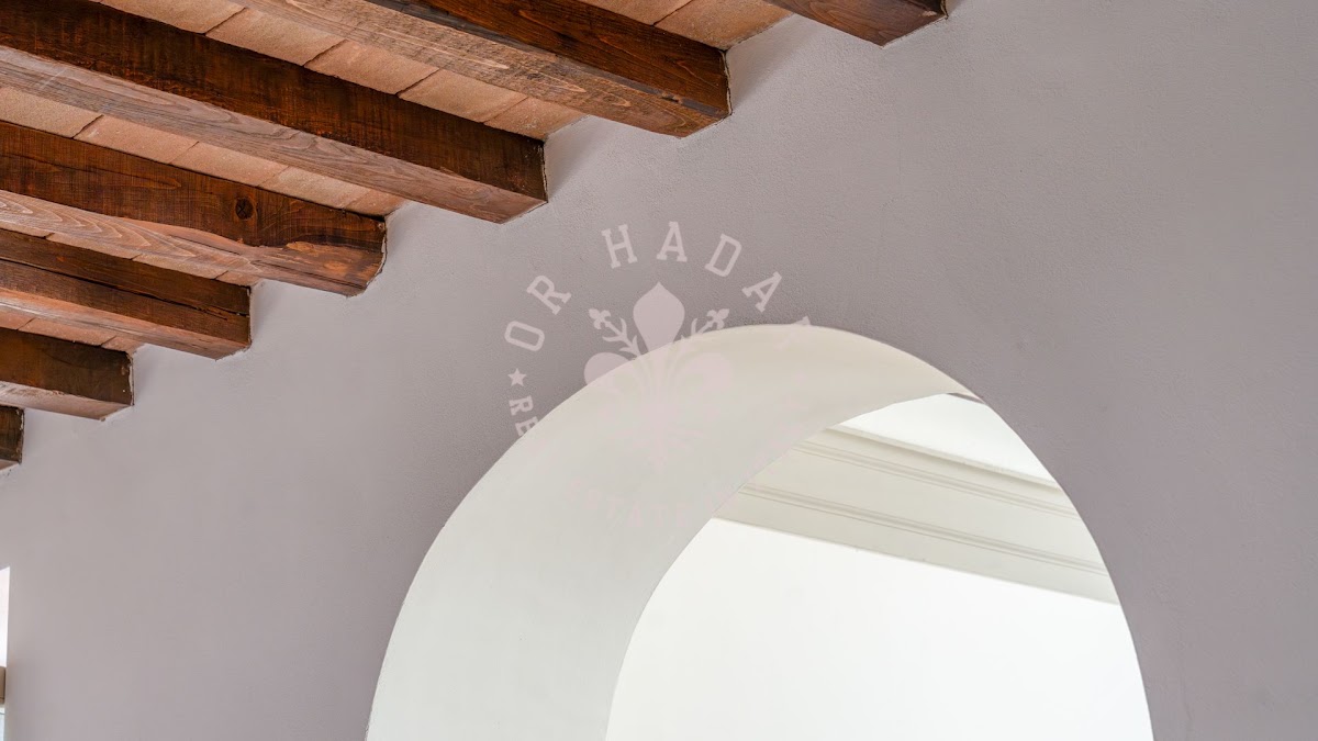 פאלאצו פטרוני (Palazzo Petroni) — 50