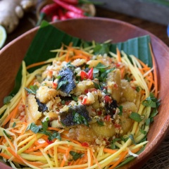 Gỏi xoài cá trê đẹp mắt mà lại vô cùng hấp dẫn. Cá trê chiên thơm lừng ngọt thịt trộn cùng xoài xanh chua chua giòn giòn, thêm phần nước trộn gỏi cực kỳ đậm đà nữa chứ. Chấm một miếng cá kèm xoài thấm đẫm vị đồng quê mới thật đã làm sao! Còn chờ gì nữa mà không trổ tài với món gỏi xoài cá trê cực kích thích này!
