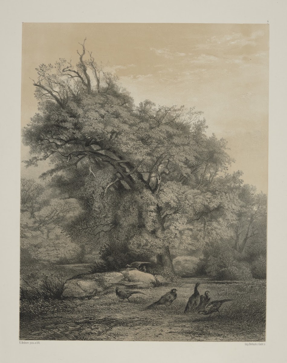 Pheasants 1858