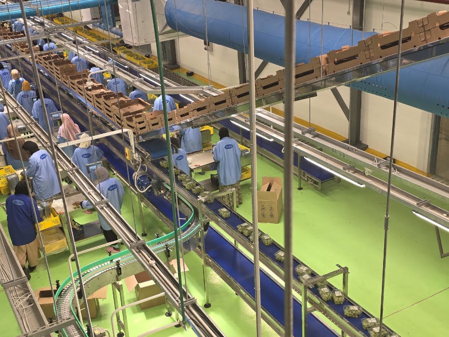 SANAM Engineering Industries — food processing and material handling project 18