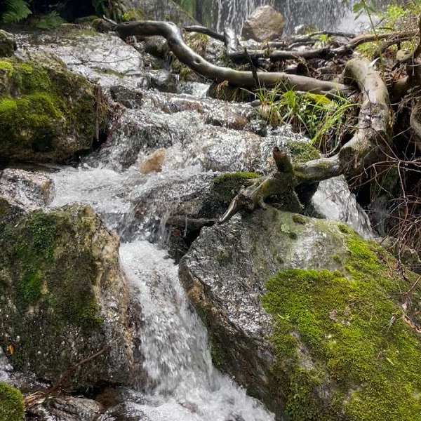 Trek a Los Chorros y Bosque de Tabaquillos