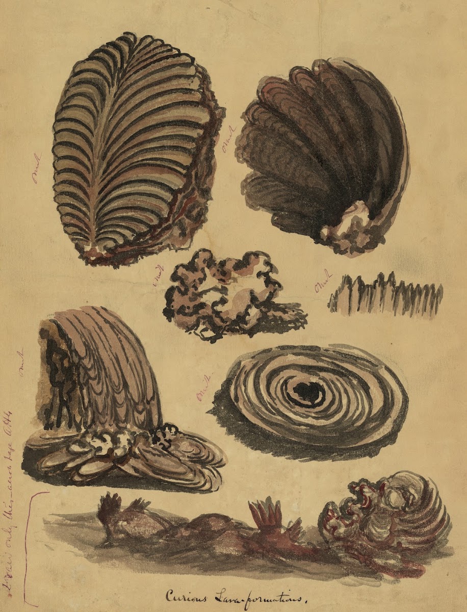 Curious lava formations 1844 1878
