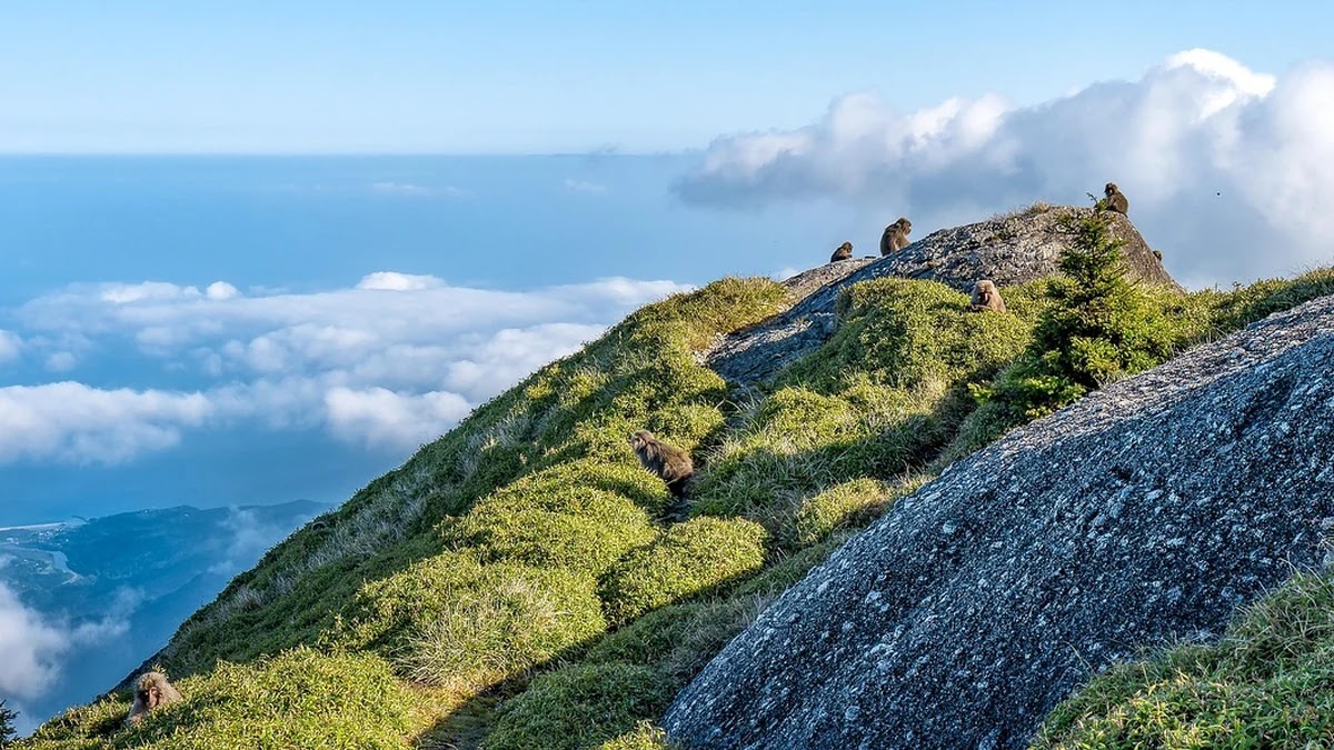 글로벌 브랜드 네이밍에서 문화 차이 대응 전략