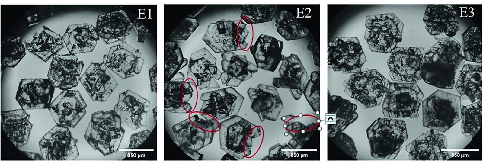 Thiourea crystal growth kinetics, mechanism and process optimization during cooling crystallization
