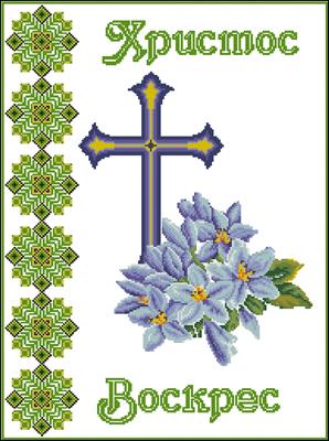 CMP 310199 Pattern
