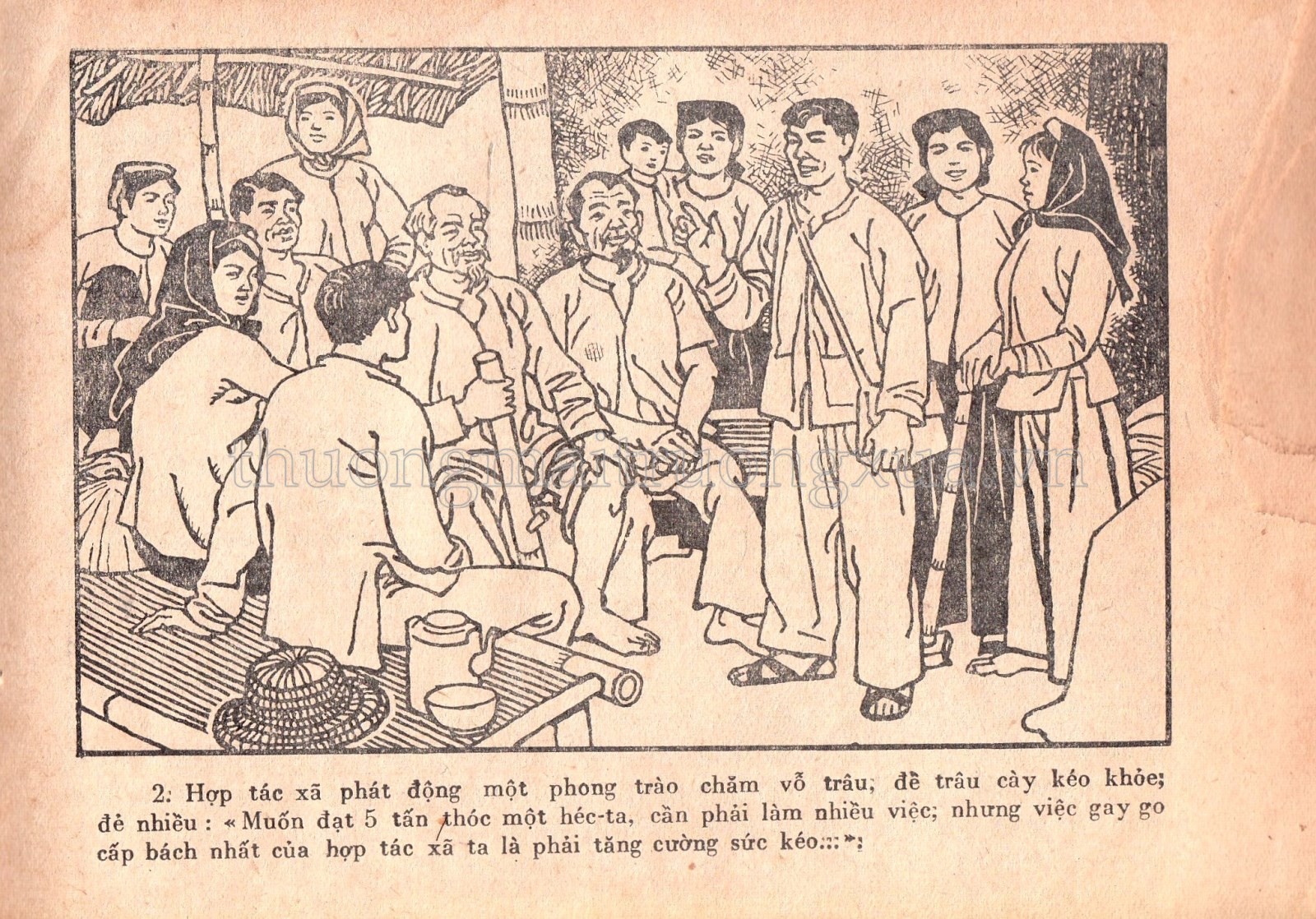 Những người chăn nuôi giỏi - Trang 14