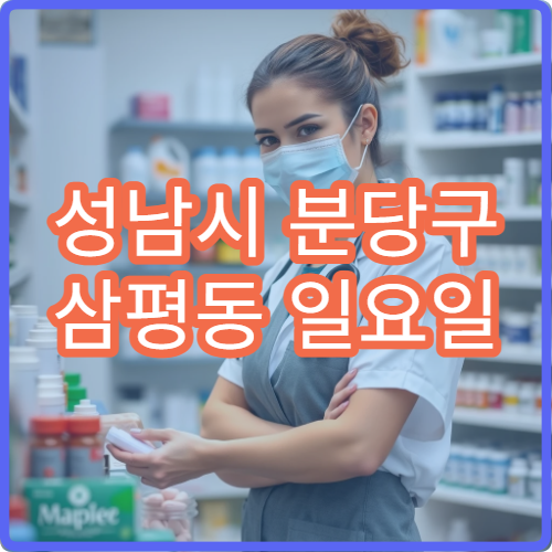 성남시 분당구 삼평동 일요일 당직약국 직장인 주말 약국