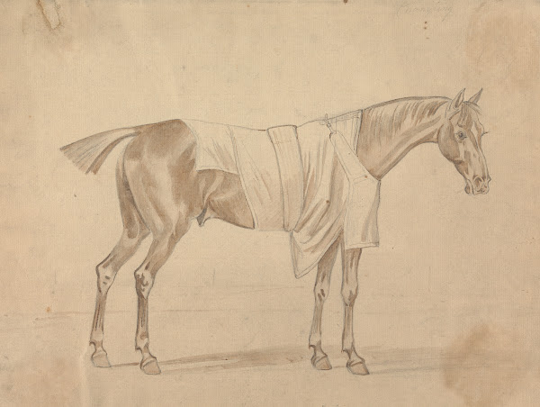 Horse Dressed in Blanket 1760