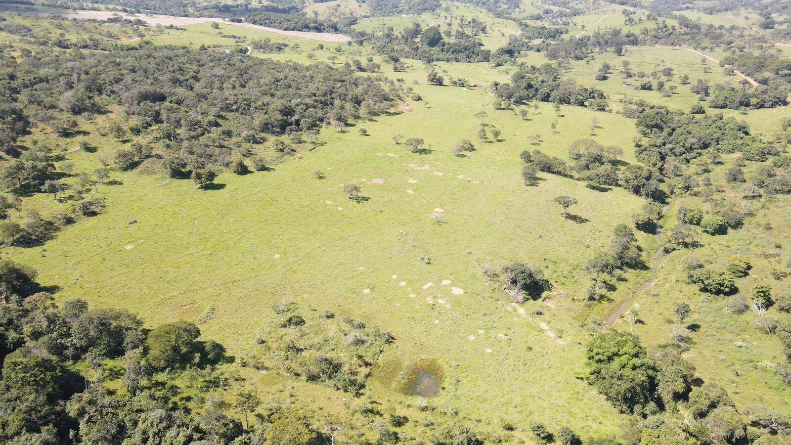 Chácara no município de Piracanjuba GO 9