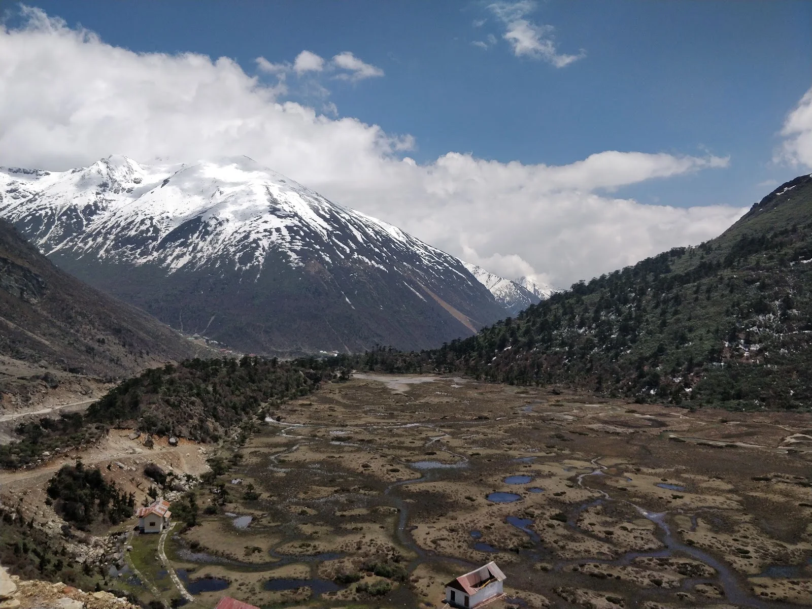 Chopta Valley