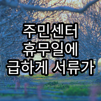 주민센터 휴무일에 급하게 서류가 필요할 때 대처 방법