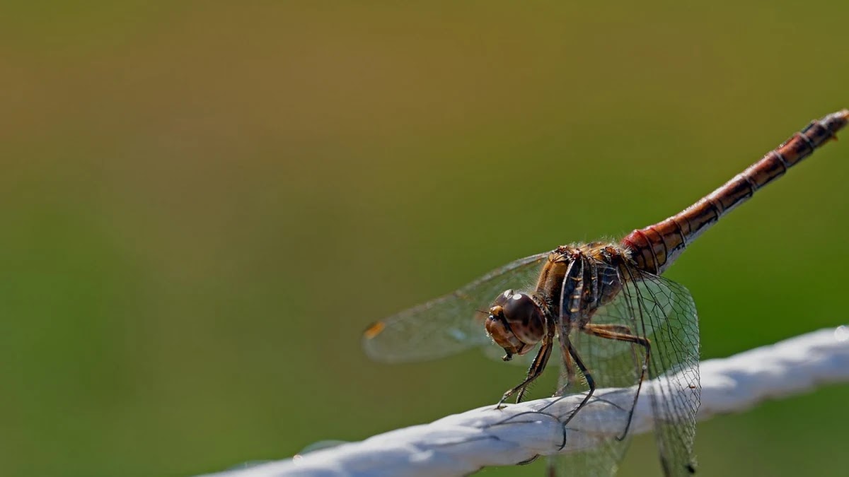 불면증 종류별 증상과 맞춤형 치료법 비교