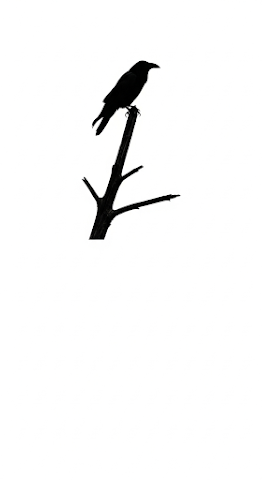 Solitary Raven Silhouette