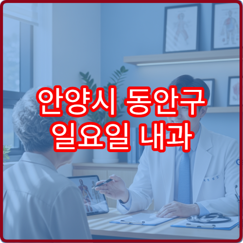 안양시 동안구 일요일 내과 진료 병원 감기·발열 상담 가능