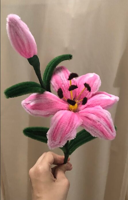 Hoa ly 6 cánh, như biểu tượng của vận may và tài lộc, thắp sáng hy vọng cho một năm mới an lành và thịnh vượng.