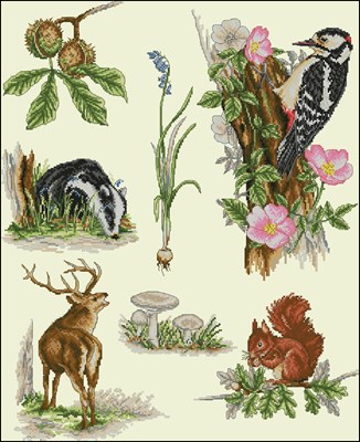 CMP 400948 Pattern