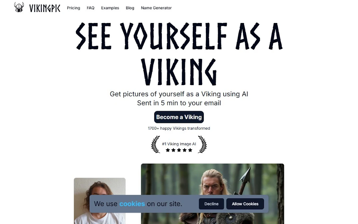 Captura de VikingPic