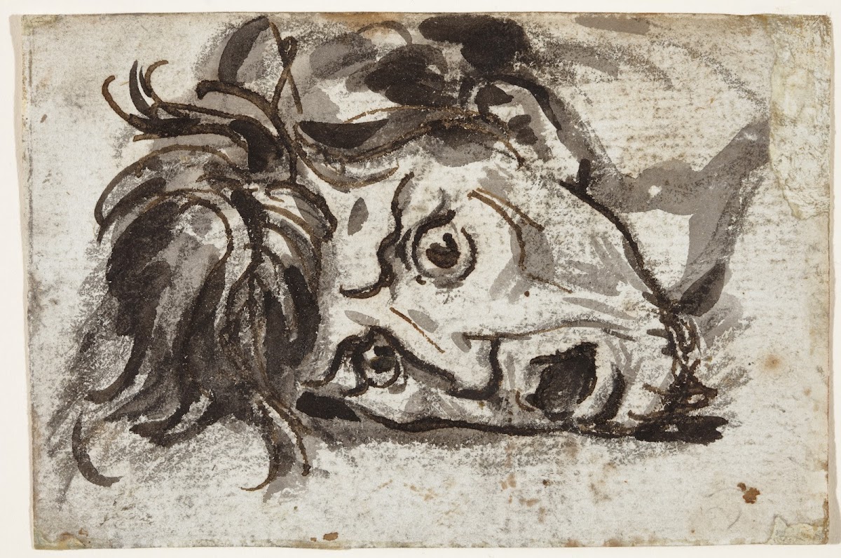 Head of man open mouthed and wide eyed