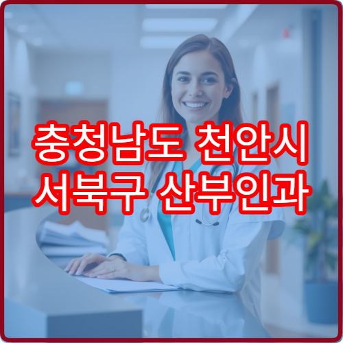 충청남도 천안시 서북구 산부인과 설날 연휴 응급진료 병원 위치 안내