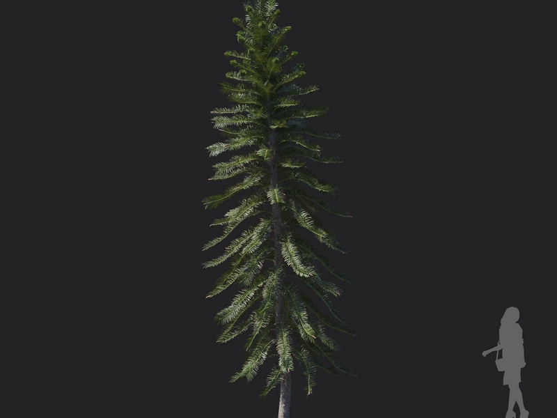 Maxtree - Plant Models Vol.121