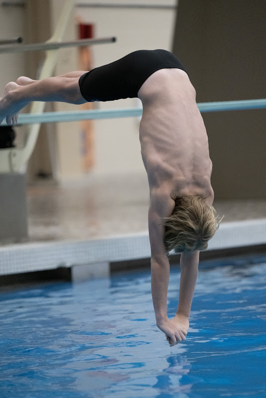 Photo from MS: Swim & Dive of Leif Anderson