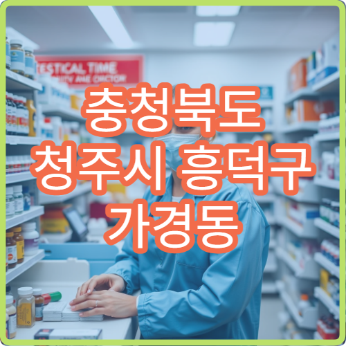 충청북도 청주시 흥덕구 가경동 설날 연휴 24시 약국 가경사거리 상권 문 여는 약국 리스트