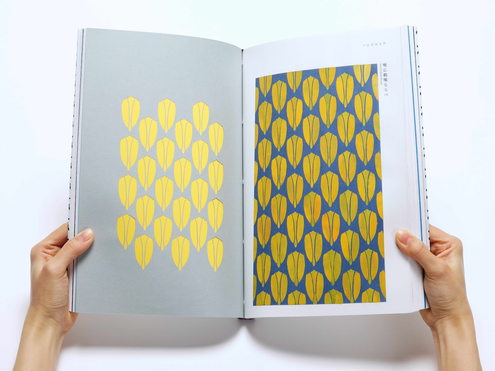 鳥をモチーフにした新しい文様の制作-thumb-3