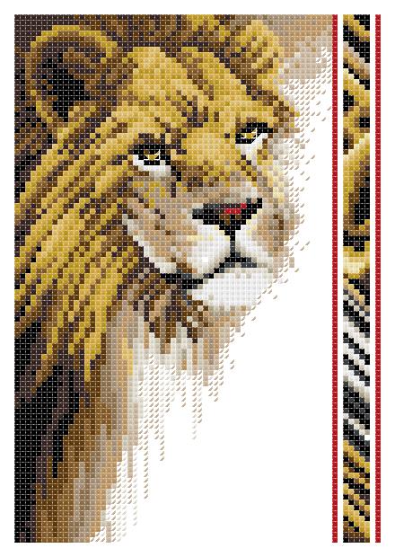 CMP JAN013 0268 Lion