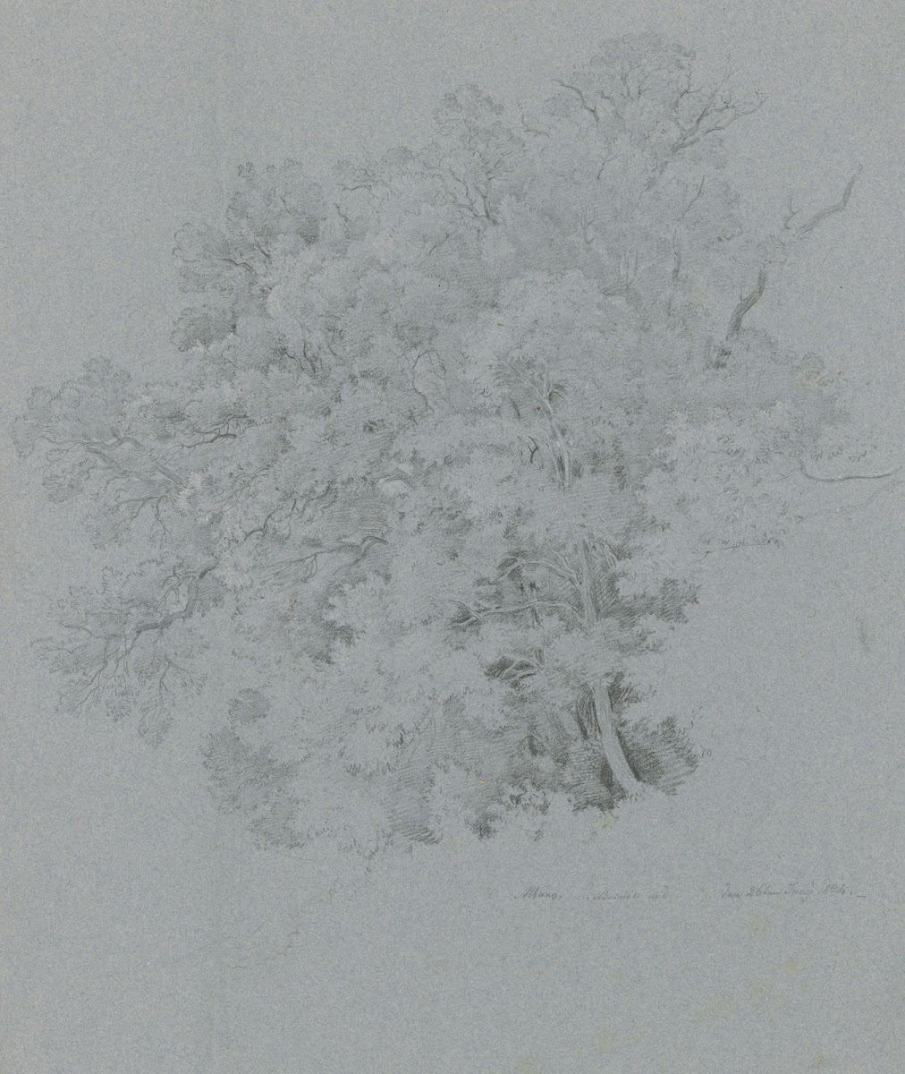 Licinie Steineiche am Albaner See 1824