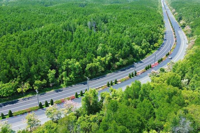 Siêu dự án 19.000 tỷ đồng: Vingroup đề xuất mở đường Rừng Sác lên 10 làn xe - Báo VTC News