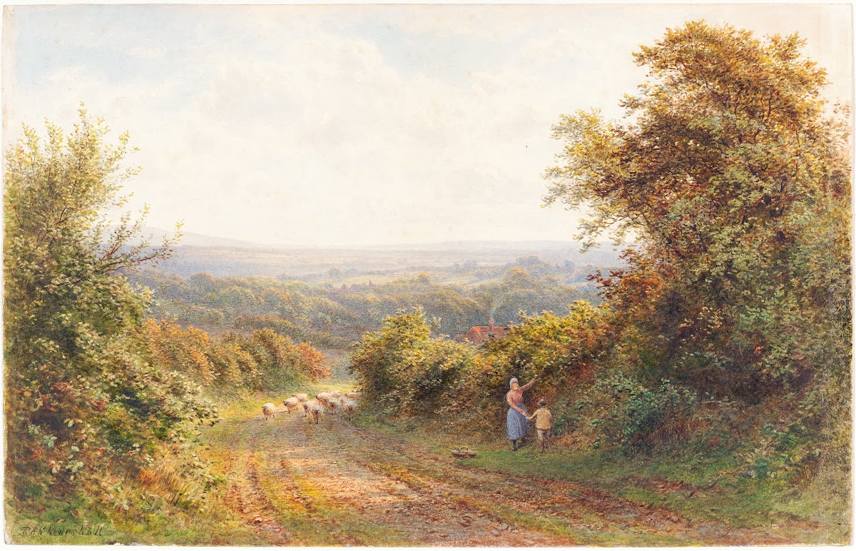 Squirrel Lane Near Magham Down Sussex