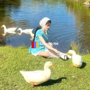 Cuộc Đời Thứ Hai Của Lâm Tiểu Hòa