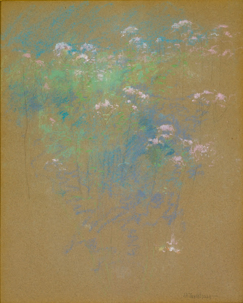 Flowers ca 1900