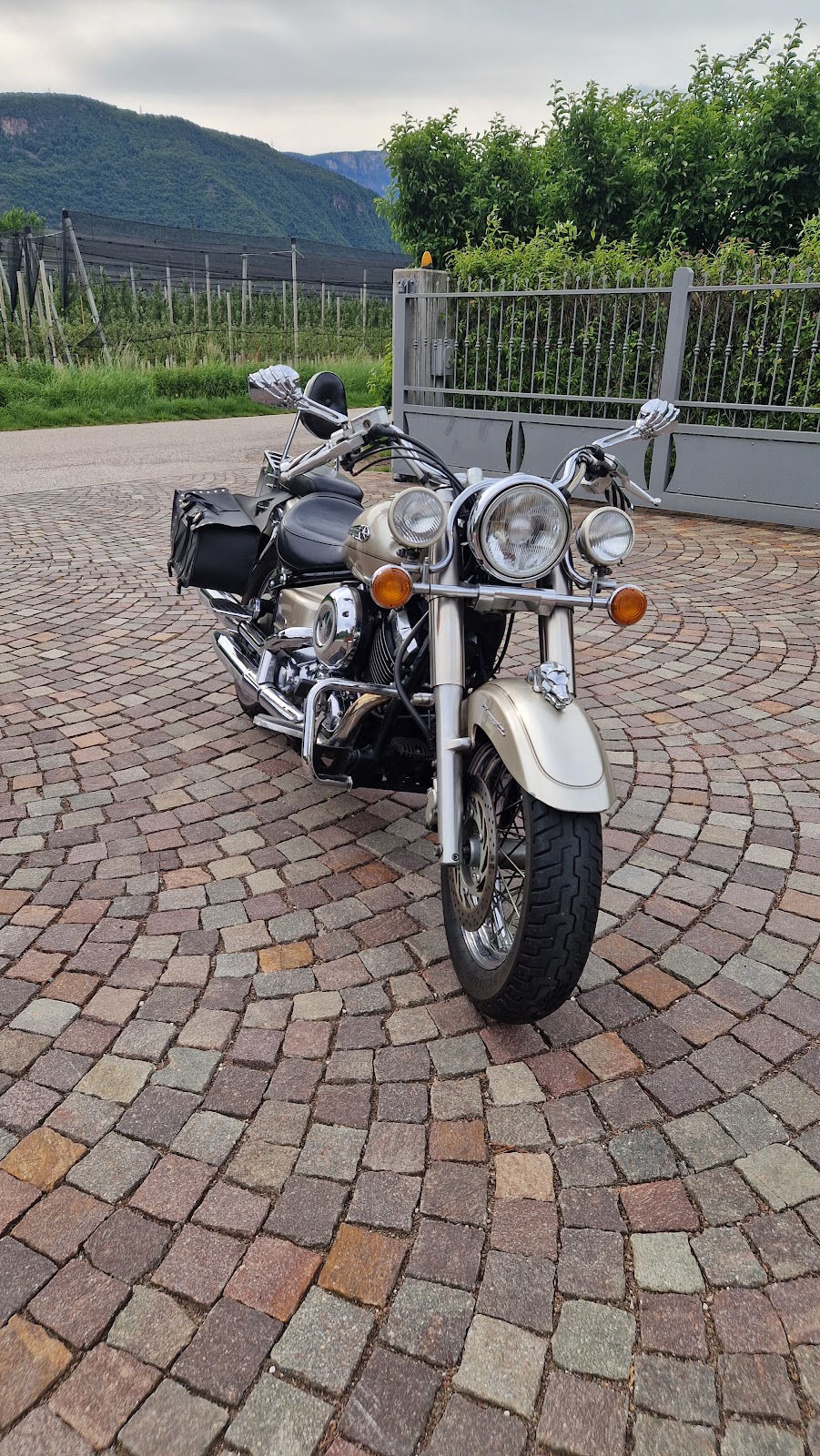 moto