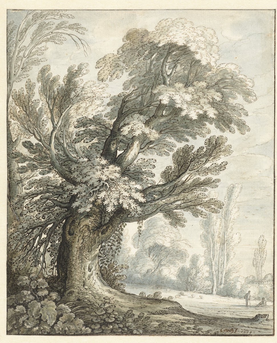 Landscape with a Tall Tree 1634