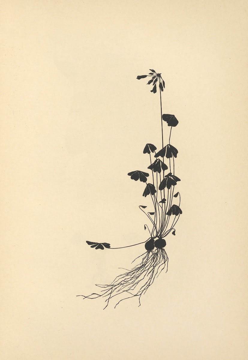 Vom Zufrieden Werden Pl33 1932