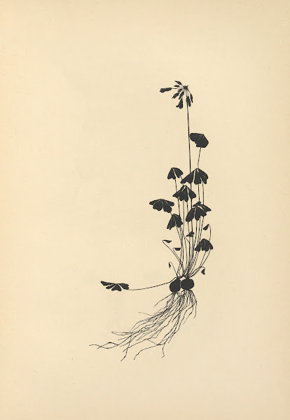 Vom Zufrieden Werden Pl33 1932