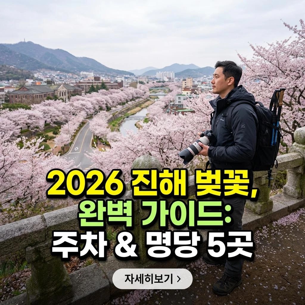 2026 진해 벚꽃, 완벽 가이드: 주차 & 명당 5곳