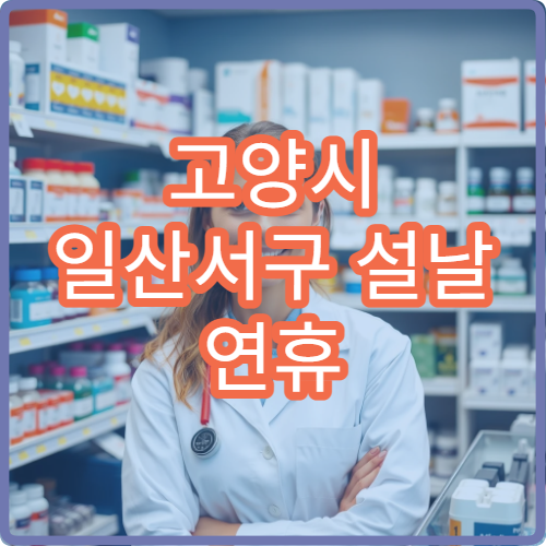 고양시 일산서구 설날 연휴 산부인과 진료 병원 찾기