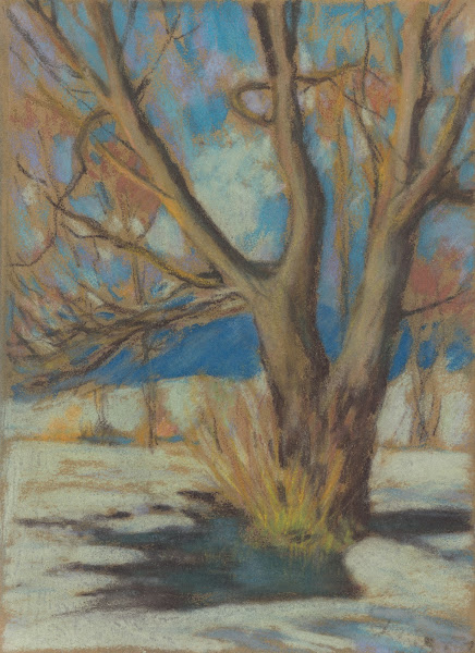 Study of a Bare Tree in the Winter 1934
