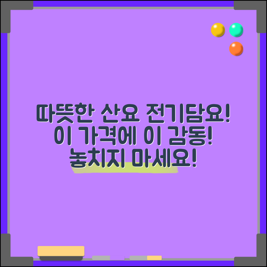 “산요전기담요 추천, 이 가격에 이런 따뜻함은 없습니다!”