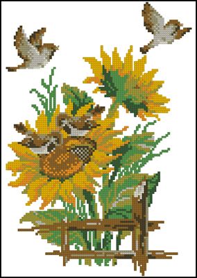 CMP 200822 Pattern