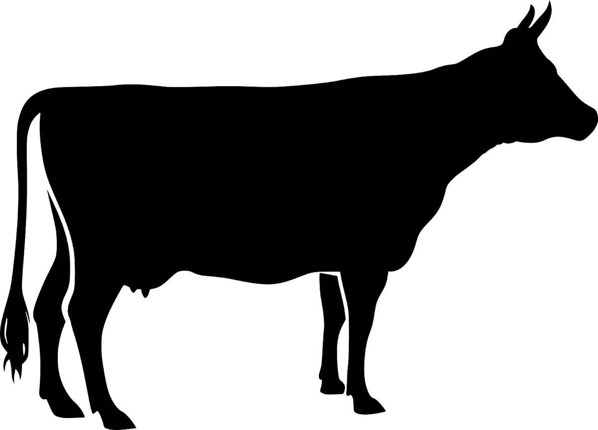 Cow Silhouette Free SVG for Waterjet Cutting and Engraving
